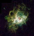 Picture for song 'THE NEBULA' by artist '17 Stacks'