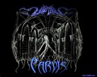 Picture for song 'The Gate to Parvis' by artist '1849AD'