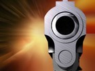 Picture for song 'CHITOWN - My Gun Goes Pow.mp3' by artist '1NE and ONLY'