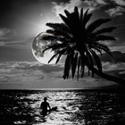 Picture for song 'Moon Surfing' by artist '2600 Hz'
