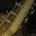 Picture for song 'ProVoCaTiVe' by artist '2MorroW EvR AfteR'