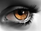Picture for song 'I Cry (Freestyle)' by artist 'Abdi(SENEGAL)'