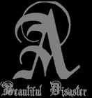 Picture for song 'Say Run' by artist 'A Beautiful Disaster'