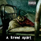 Picture for song 'Sour' by artist 'A Breed Apart'