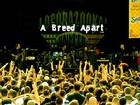 Picture for song 'WAAF Radio Spot 2005' by artist 'A Breed Apart'