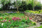 Picture for song 'The Garden Song' by artist 'ACUSHLA'
