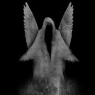 Picture for song '08 Parallels 1.mp3' by artist 'Adversaries'