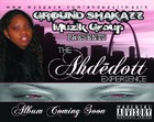 Picture for song 'The Ahdedott Experience Mix' by artist 'AhdedottMuzik'
