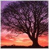 Picture for song 'Vanilla Sky' by artist 'Albert Alvarez'