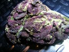 Picture for song 'Killa Chronic jan 28' by artist 'Allynav Beatz'