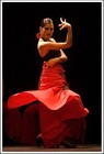 Picture for song 'Te quiero mucho' by artist 'Alonso Fibonacci'