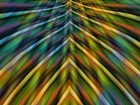 Picture for song 'Trapped' by artist 'aLter Rhythm'