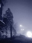 Picture for song 'Spring Is Nowhere To Be Found' by artist 'AMUC'