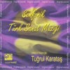 Picture for song 'Scutarie Song' by artist 'Anatolie Symphonic Suite'