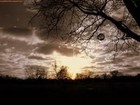 Picture for song 'wierdness' by artist 'andy rashley'