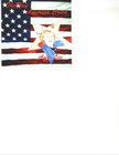 Picture for song '01 - The Day America Cried' by artist 'Ann Lee'