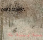 Picture for song 'The Forgotten Wood' by artist 'Aokigahara (US)'