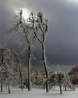 Picture for song 'So Cold' by artist 'Apokryfal'