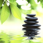 Picture for song 'Zen and End' by artist 'Armando Ferrer'