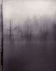 Picture for song 'Dark Fount - Dark Fount' by artist 'Asfigmia'