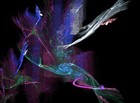 Picture for song 'Mamas Arms' by artist 'Ashuya'