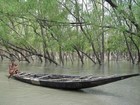 Picture for song 'jibon nodi' by artist 'ATHOI'