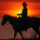 Picture for song 'Cowboy 78 bpm (prod. Axis Beats)' by artist 'Axis Beats (US)'