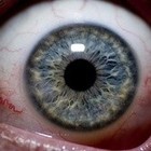 Picture for song 'Watch it !!!' by artist 'badass tunes inc'