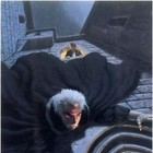 Picture for song 'ONLY AT NIGHT' by artist 'BAD MOUTH DISEASE'