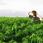 Picture for song 'SO HIGH by idreaminstereo FREE DOWNLOAD!' by artist 'Barron Studios'