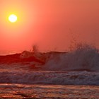 Picture for song 'Riptide' by artist 'Barry Freeman'