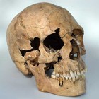 Picture for song 'Basick - Skull Crusher' by artist 'Basick Musick'