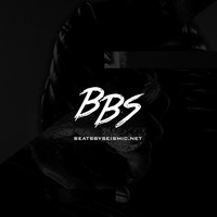 Picture for song 'Skyfall' by artist 'Beats By Seismic'