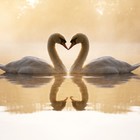 Picture for song 'Mon Amour (SOLD)' by artist 'BeatsbySV'