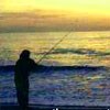Picture for song 'Surf Fishin'' by artist 'Before Its Too Late'