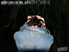 Song picture