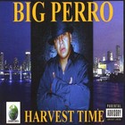 Picture for song '05 CAGES INTERLUDE' by artist 'BIG PERRO'