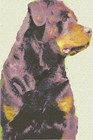 Picture for song 'As Plain As The Balls On A Dog' by artist 'Billy Sollox and The Spooner Rhythms'