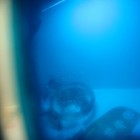 Picture for song 'blue moon' by artist 'Bio Raisin'