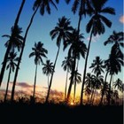 Picture for song 'this must be heaven' by artist 'Blanc'