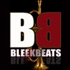 Picture for song 'South Heater' by artist 'Bleek Beats'