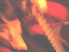 Picture for song 'wednesday' by artist 'Blood Geyser'