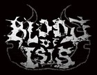Picture for song 'test sample' by artist 'blood of isis'