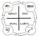 Picture for song 'Your Cooperation' by artist 'Blood Paradise'