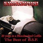 Picture for song 'House on Haunted Hill' by artist 'Bloodsuckingfreaks'