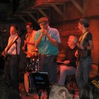 Picture for song 'Memphis- LIVE with the Crown City Band' by artist 'Blue Lemmings'