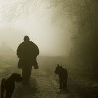Picture for song 'Just the Blues and No Other News' by artist 'Bo-Blues'