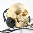 Picture for song 'hip hop 2 the grave' by artist 'BombShelter Productions'