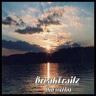 Picture for song '04.Unworthy' by artist 'BreakTrailz'