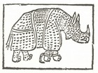 Picture for song 'The Rhino' by artist 'Brian Hosford'